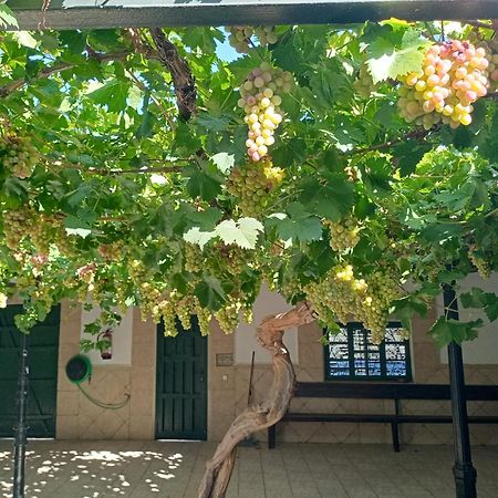 Casa Rural La Del Alba Seria Argamasilla De Alba ภายนอก รูปภาพ