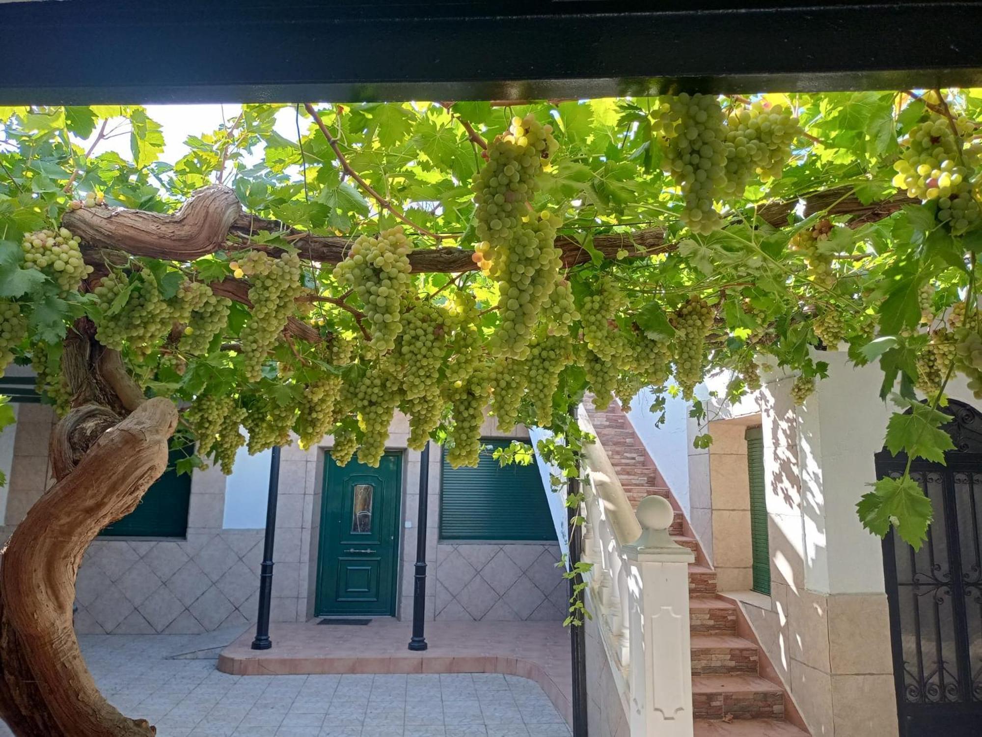 Casa Rural La Del Alba Seria Argamasilla De Alba ภายนอก รูปภาพ